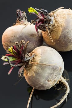 Freshly harvested beetroot with small green leaves on a black background