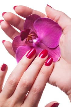 Well-groomed fingernails with red nail polish with orchid flower isolated on a white background