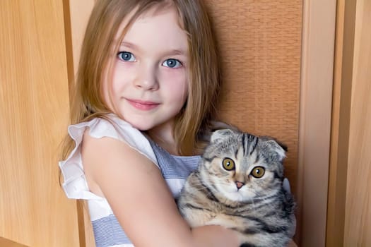 Image of beautiful girl with grey kitty