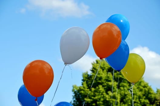 colorful balloons soar into the sky