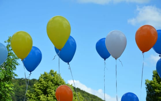 colorful balloons soar into the sky