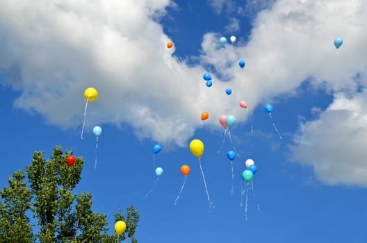colorful balloons soar into the sky