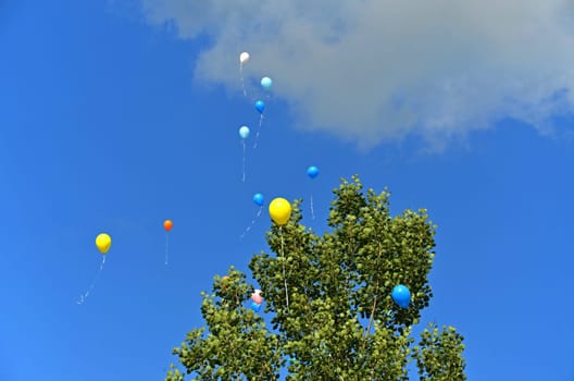 colorful balloons soar into the sky
