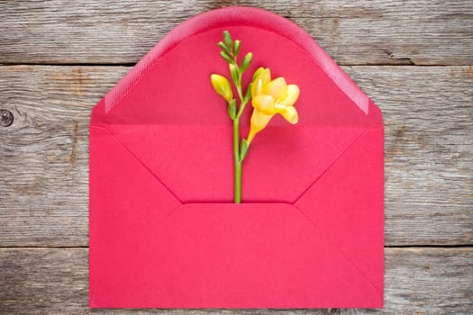 Feesia flower in red envelope,top view on wooden background