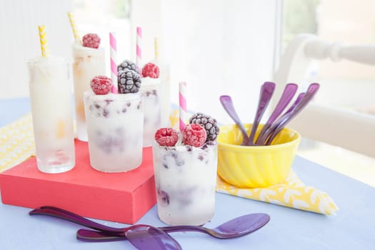 Homemade yoghurt ice cream in a glass with fruechten