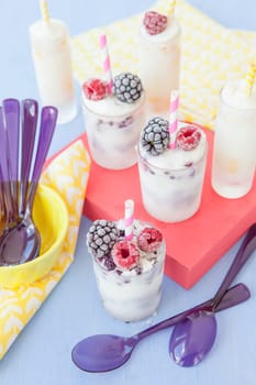 Homemade vanilla yogurt ice cream with berries