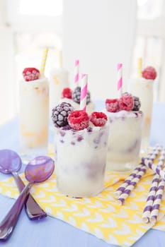 Homemade vanilla yogurt ice cream with berries