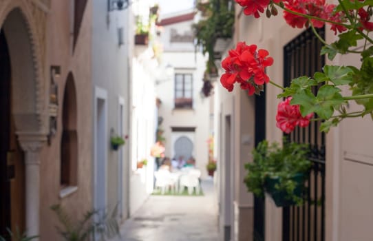 Narrow old town street of Badajoz with flowers and terrace at the bottom decorated as Al-andalus style