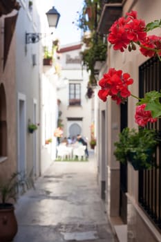 Narrow old town street of Badajoz with flowers and terrace at the bottom decorated as Al-andalus style