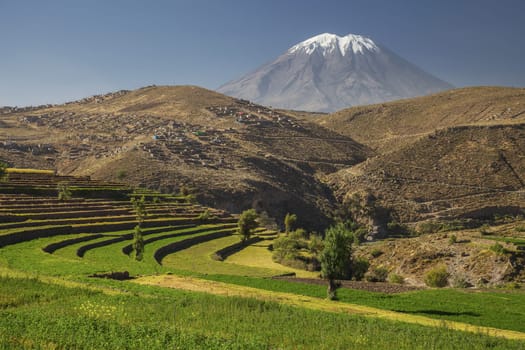 Horizontal Image of Inca's garden and active volcano Misti, Arequipa, Peru.
