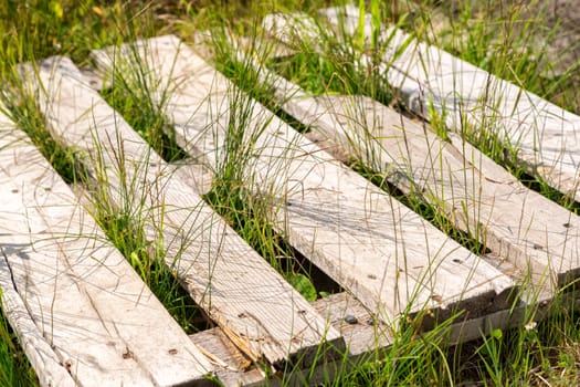 Box Pallet in Grass close up.