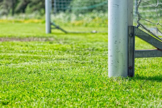Soccer Goal Post with green grass.