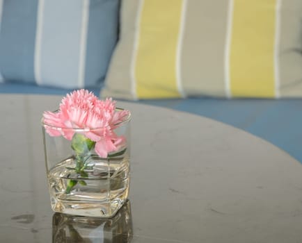 Pink carnation flower in a glass vase on table
