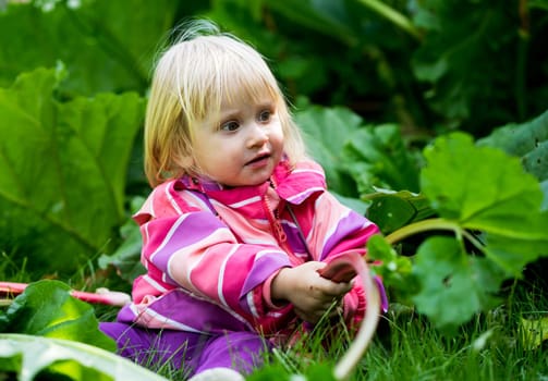 Little girl sitting in the Grass playing with rhubarb during this year&#39 s harvest