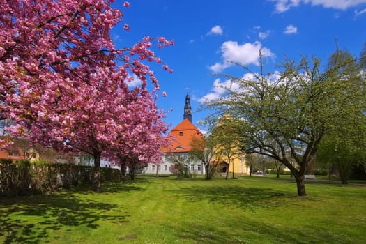 Luebben Castle - Luebben castle in spring with blossom of cherry trees
