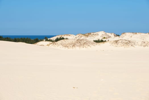The Lontzke dune in Poland