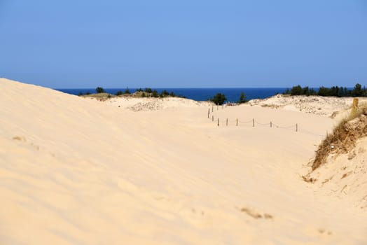 Wandering dune in Poland
