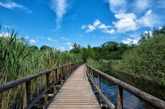 Jetty on the Müritz