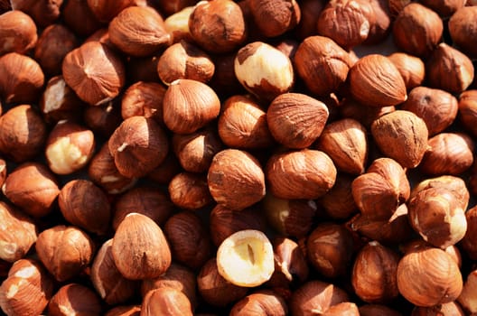 Hazelnuts