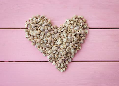 Heart of shells on rustic background of pink beams