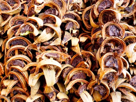 dry Betel nuts thai texture background in thailand