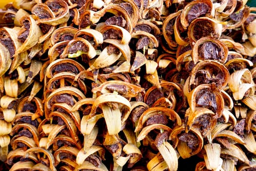 dry Betel nuts thai texture background in thailand