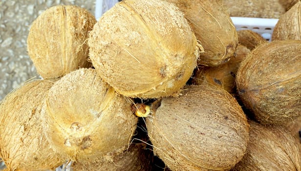 close up local Coconuts at Fresh market in Luang Prabang, Laos