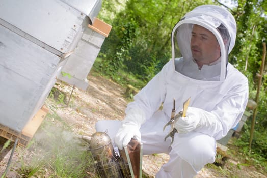 bee smoker