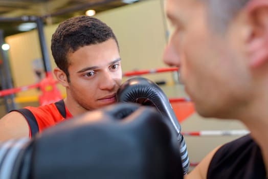aspiring boxing champ