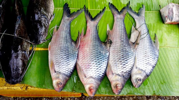 big fish on banana leaf in fresh market Luang Prabang, Laos