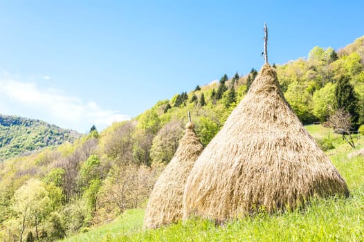Rural landscape. Traditional haystack of mountain villages in Italian Alps.