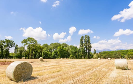 Rural landscape.Harvested field with straw bales in summer.
