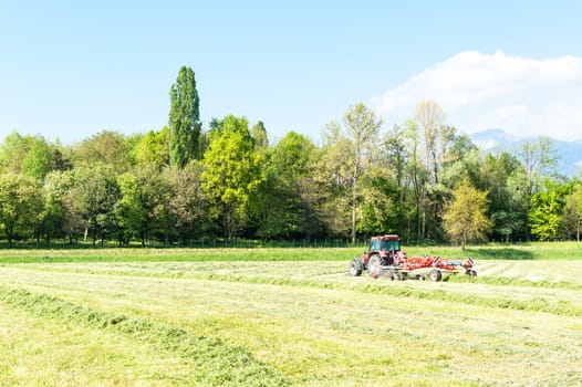 Rotary hay rake in action behind a tractor raking dried grass for baling for hay and winter feed for the livestock on the farm.