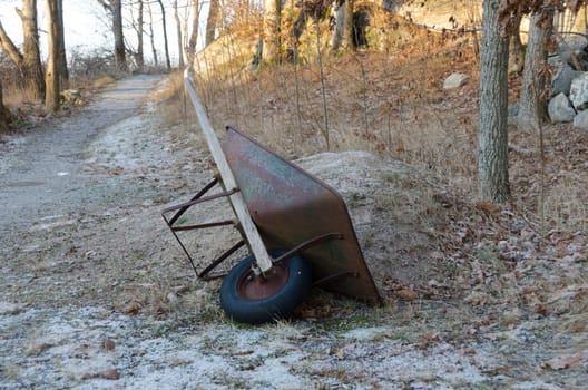 one wheelbarrow in the forrest waiting to work