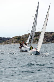 one sail competition on swedish westcoast little action on the sea.2015-08-15