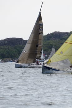 one sail competition on swedish westcoast little action on the sea.2015-08-15