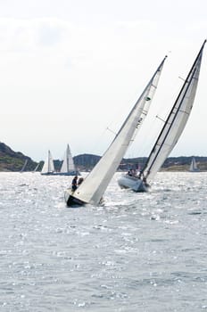 one sail competition on swedish westcoast little action on the sea.2015-08-15