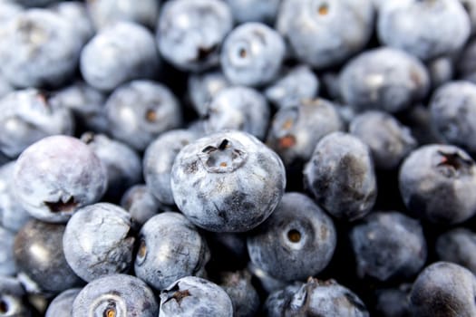 fresh blueberry blueberry on a table blueberry background