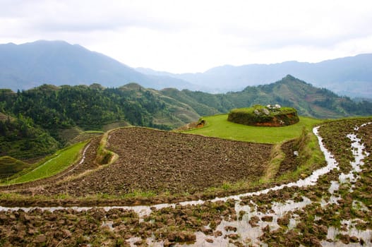 The Longji Rice Terraces located next to the village of Ping'an in China