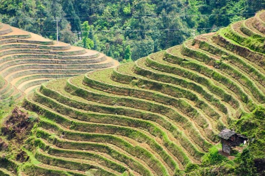 The Longji Rice Terraces located next to the village of Ping'an in China