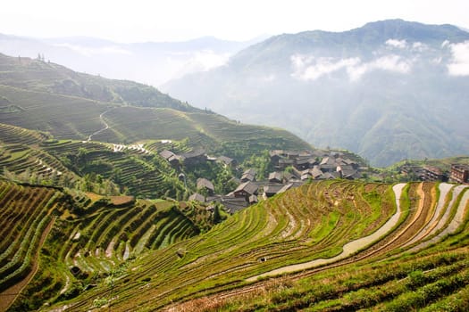 The Longji Rice Terraces located next to the village of Ping'an in China