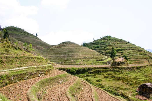 The Longji Rice Terraces located next to the village of Ping'an in China