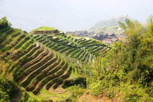 The Longji Rice Terraces located next to the village of Ping'an in China