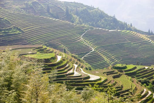 The Longji Rice Terraces located next to the village of Ping'an in China