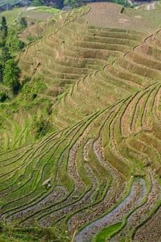 The Longji Rice Terraces located next to the village of Ping'an in China