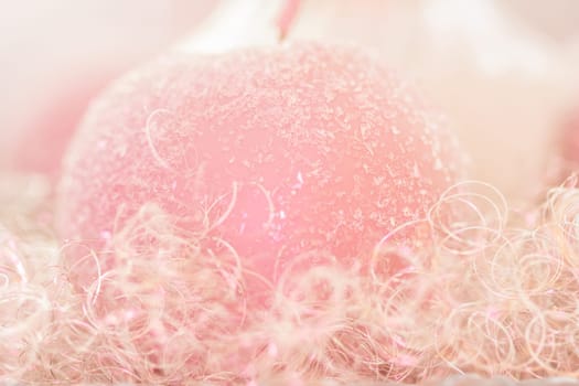 Wax apple