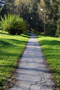 Walkway in park with street  lamps