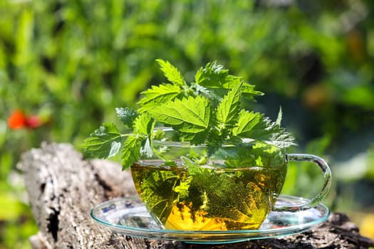 Nettle,optional
