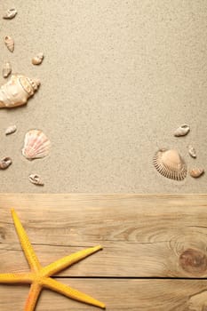 summer concept with yellow starfish and shells on sandy beach