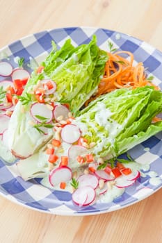 Colorful salad with radishes and yoghurt dressing